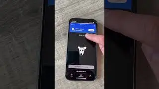 Как вывести DOGS на Tonkeeper без комиссии. Как вывести DOGS на кошелек и оплатить комиссию в монете
