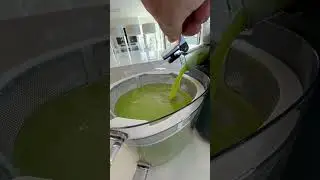 Batch Green Juice