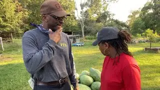 FAKE WATERMELON 🍉- How To Avoid It!