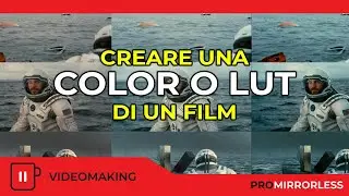 SI PUO' RICREARE UNA LUT O COLOR CORRECTION DI UN FILM SPECIFICO?