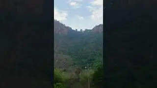 #tirupati #tirumal #song#trending #shorts#youtubeshorts#travel #nature#devotional#venkateshwaraswamy
