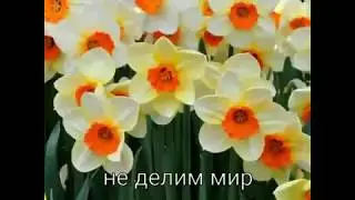 ГЛАВНЫЕ ЦЕННОСТИ...