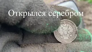 Открылся серебром