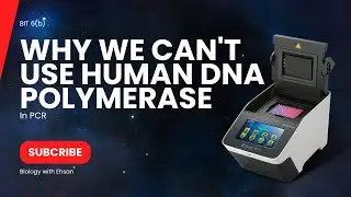 BIT:6(b) |Why we can't use human DNA polymerase in pcr
