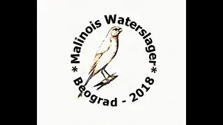 VII Međunarodna specijalka - (Malinois Waterslager) “SLAVUJ” BEOGRAD - 2018