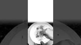 బెస్ట్ కుకింగ్