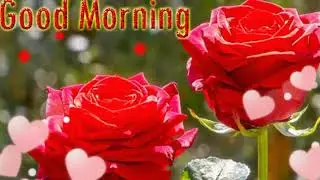Good Morning video