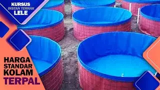 HARGA dan CARA Membuat KOLAM TERPAL BULAT dari A Z