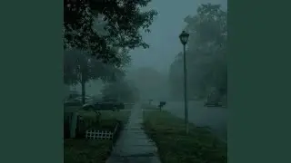 beanie (instrumental slowed & reverb with rain)