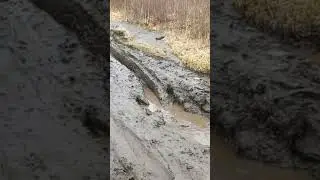 садко некст в своей стихии