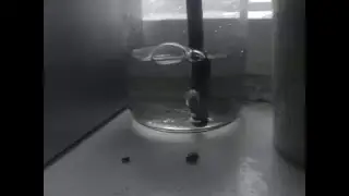 Пых дых бульбуляция