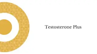 Testosterone Plus Profile