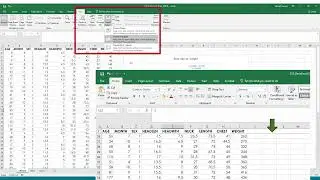 2 - Basic Excel: Freeze Panes