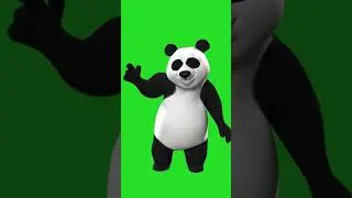 Green Screen 3d Animate Panda short video ,  