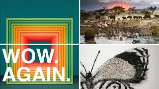 The Most Amazing Art of the Year (2019-2020) Part 2