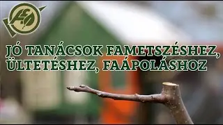 Jó tanácsok fametszéshez, ültetéshez, faápoláshoz