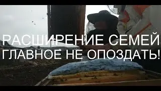 РАСШИРЕНИЕ Пчелосемей Весной