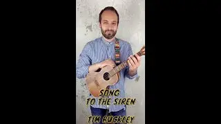 Song To The Siren Ukulele Cover [Tim Buckley Cover]