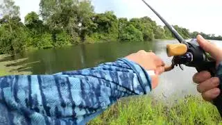Daiwa Steez TopGun C74MH+ and Megabass IS71HL (Fixed Inductor)| best set for hampala jungle perch