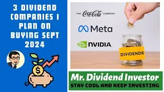 Top 3 Must-have Stocks For September 2024!