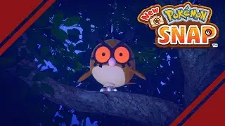 New Pokemon Snap #2 - Explorando Park (Night)