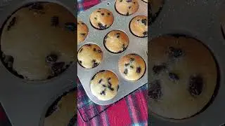 Torta Cupcakes #homemade #asmr #cupcakes