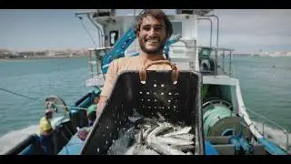 Dia de Portugal // As sardinhas portuguesas