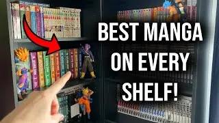 My Favorite Manga on Every Shelf in My Collection!