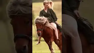 Hot girl ride in horse  l Horse Riding   l   Beautiful Horse  l  Beautiful Girl