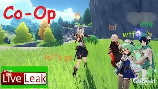 Playing Co-Op with Strangers in Genshin Impact