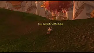How to get Tome of Polymorph: Rabbit during Noble Gardens