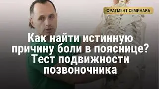 Перламонов Михаил фрагмент семинара