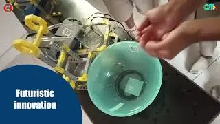 QtSchool Program I Coding, AI & Robotics at SSVM Institutions CBSE Bangalore