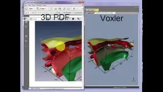 Voxler to 3D PDF Demo