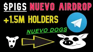 NUEVO AIRDROP $PIGS TOKEN  EL NUEVO $DOGS EMPIEZA A FARMEAR TUS TOKENS PIGSHOUSE | TON NETWORK |
