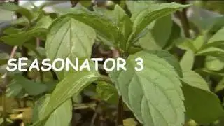 SEASONATOR 3 'Herbs'