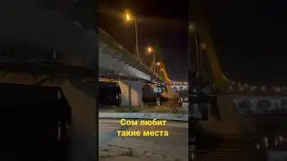 Есть ли здесь сомы?