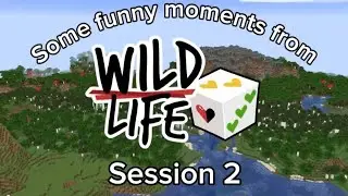 Some funny and out of context moments (Wild life session 2)