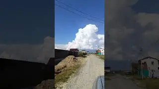 красота