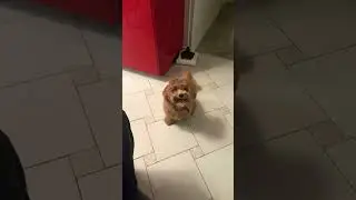 В ожидании чуда 👍 🥘