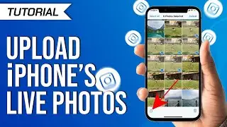 Learn How to Upload Live Photos As Videos On Instagram on Your Mobile Phone