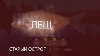 Русская рыбалка 4! Russian Fishing 4! Старый Острог - Лещ!