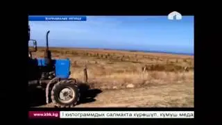 Тамчылатып сугаруу