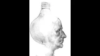 Becul peticit sau autobiografia unei iluzii (The Darned Bulb, an Autobiography of SelfDelusion )