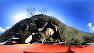 VR Arborist (test video)