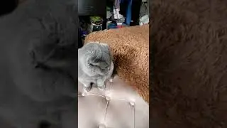 А что это мы тут делаем...