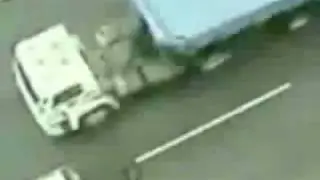 Hero dog saves another after it was hit in the highway.