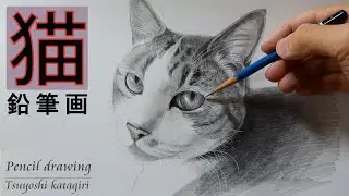 【鉛筆画】猫をリアルに鉛筆デッサンするポイント「描き方、コツ」/pencil drawing