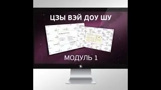 Цзы Вэй Доу Шу. Деньги в Карте Рождения