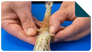 Pellen van een gamba | Keukentechniek